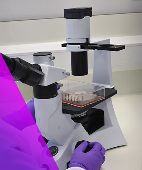 Biocompatibility Commonly Used Methods - Virologica